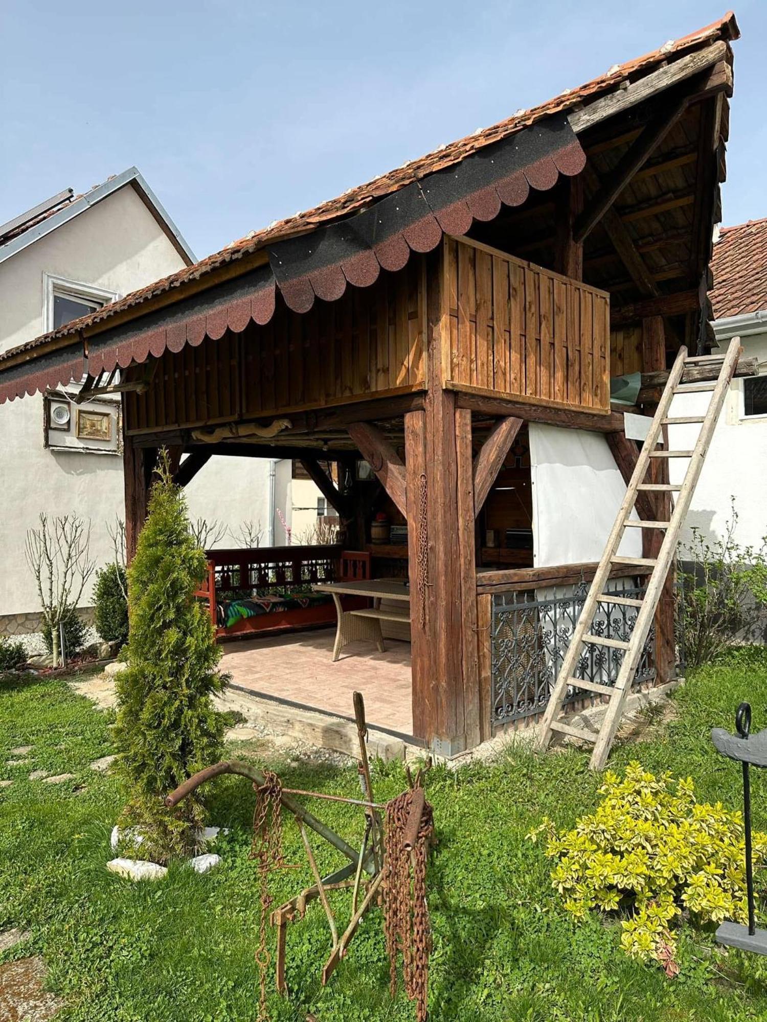 Privatunterkunft Casa Cezara *